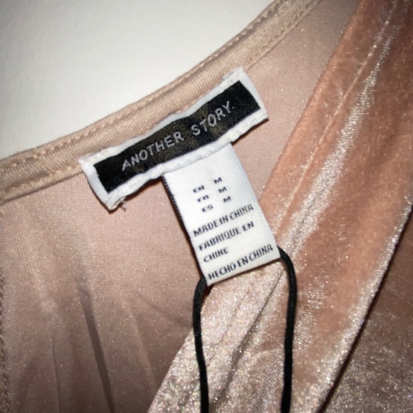 Pink Velvet Bodysuit - Picture 4 of 5